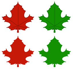 It is an illustration of a leaf.