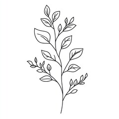 Fototapeta premium A simple artistic linear drawing of a plant branch with leaves