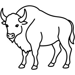 Bison Outline Illustration Vector Art