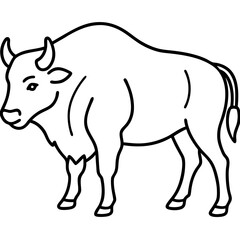 Bison Outline Illustration Vector Art