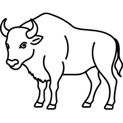 Bison Outline Illustration Vector Art