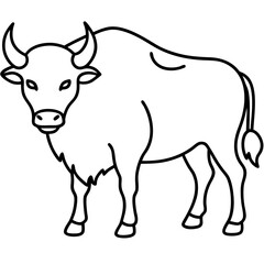 Bison Outline Illustration Vector Art