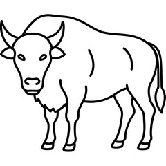 Bison Outline Illustration Vector Art