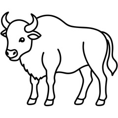 Bison Outline Illustration Vector Art