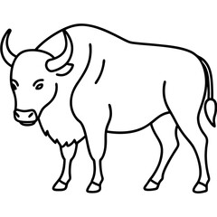 Bison Outline Illustration Vector Art