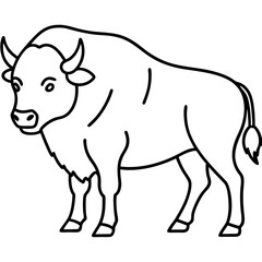 Bison Outline Illustration Vector Art