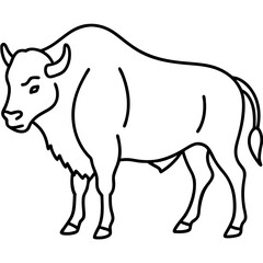 Bison Outline Illustration Vector Art