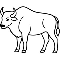 Bison Outline Illustration Vector Art