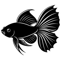 Betta Fish Silhouette Vector Black and White Drawing Illustration