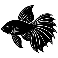 Betta Fish Silhouette Vector Black and White Drawing Illustration