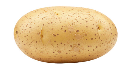 Isolated Raw Potato