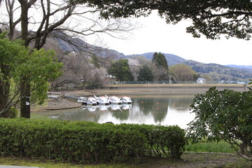 白鳥ボート公園