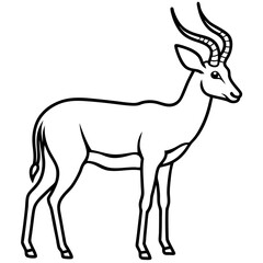 One-Line Antelope Vector Illustration