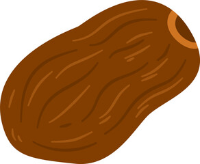 Hand-drawn illustration of a single, ripe brown date fruit with visible texture.