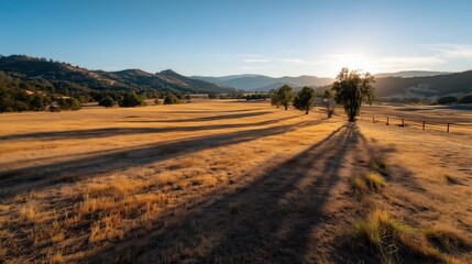 Fototapeta premium The setting sun paints the dry grass in gold, stretching shadows across the peaceful, hilly landscape.