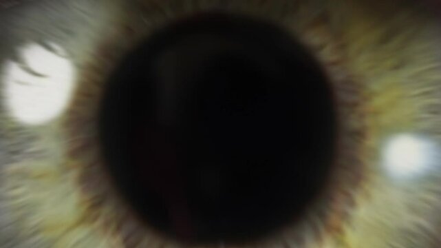 Cinematic Macro Footage Of A Human Eye Iris Expanding, Blinking, And Transitioning Into Abstract Darkness. Symbolic View On Awareness And Inner Universe.