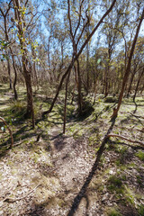 Warrandyte State Reserve in Melbourne Australia