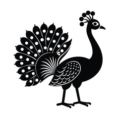 vector illustration of a peacock