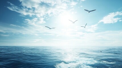 Fototapeta premium seagulls flying over the sea