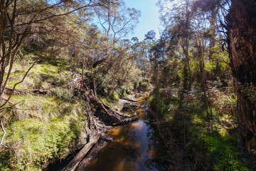 Warrandyte State Reserve in Melbourne Australia