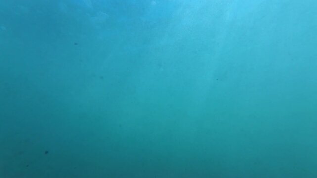 Bottom of Ocean Underwater Slow Motion x4 Filmed at 120fps Blue