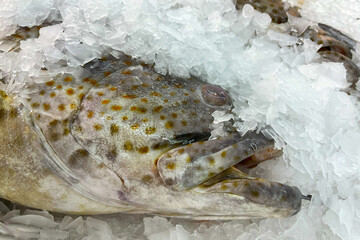 Fresh fish for sale on ice in a supermarket.