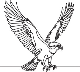 Osprey Bird Line Drawing Vector Art