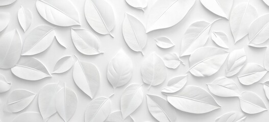 Fototapeta premium White Leaves Pattern Background