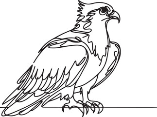 Osprey Bird Line Drawing Vector Art