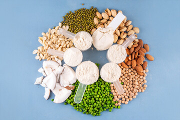 Various source vegan protein powders. Vegetarian plant based protein shakes powder and ingredients...