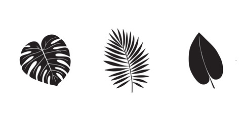 Obraz premium Tropical leaves icon, black vector silhouette collection for graphic design, nature, and summer concepts. tropical leaf Vector illustration on white background