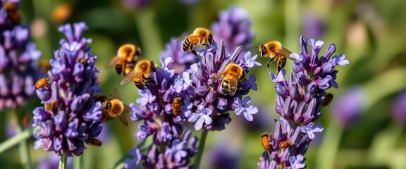 Obraz premium Busy bees pollinating vibrant purple lavender, surrounded by beeswax structures and other garden insects, flowers, legs