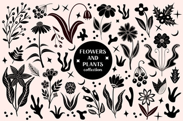 Set of black abstract flowers and leaves.botanical linocut plant and organic elements, herbs print. vector illustration