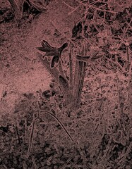 Digitale abstrakte Kunst ohne Mithilfe von 