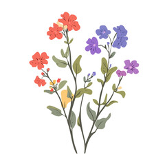 Simple painting of colorful Verbena branch flower. Trendy abstract minimal style. Natural fresh. Vector illustration isolated on white background, vector illustration, Eps format design