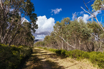 Lake Mountain in Summer in Australia