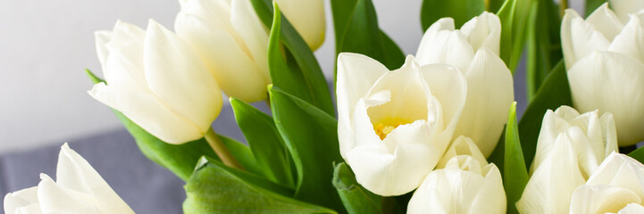 A charming home interior featuring a vibrant bouquet of white tulips, symbolizing the freshness of spring and enhancing the cozy and serene living space, banner