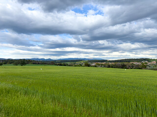 green field and blue sky in the Spanish countryside