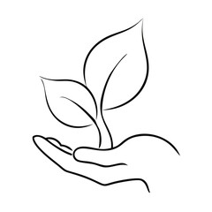 Fototapeta premium Hand holding a sprouting plant in line drawing style