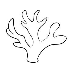 Obraz premium Coral branch in minimalist black and white line art
