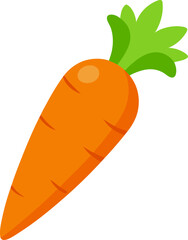 Carrot vector image isolated on transparent background