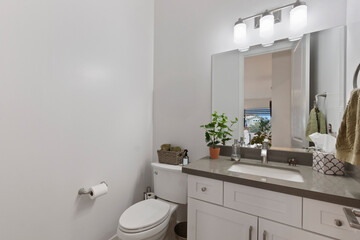 A bathroom featuring a toilet, a sink, and a mirror for convenience