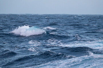 Southern Ocean. Water. Antarctica. Endless water