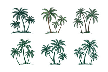 palm trees vector illustration