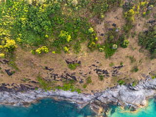 Beautiful seashore nature landscape in phuket Thailand,Amazing landscape waves crashing on rock in summer season background,Wide angle view drone shot