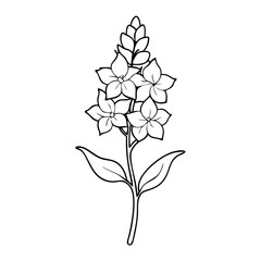 Delphinium Flower Coloring Book Page – Line Art Outline Drawing for Floral Botanical Illustration