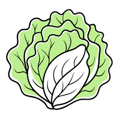 Obraz premium Lettuce Coloring Book Page – Line Art Outline Drawing for Botanical and Food Illustration