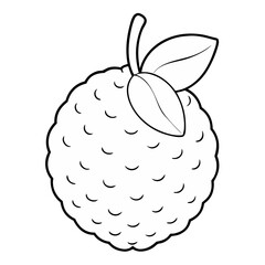 Lychee Fruit Coloring Book Page &ndash; Line Art Outline Drawing for Tropical Botanical Illustration