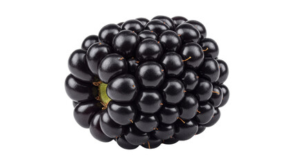 Isolated blackberry