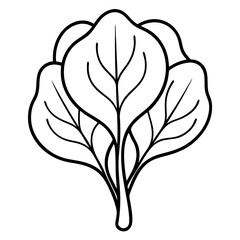 Spinach Coloring Book Page Line Art Drawing